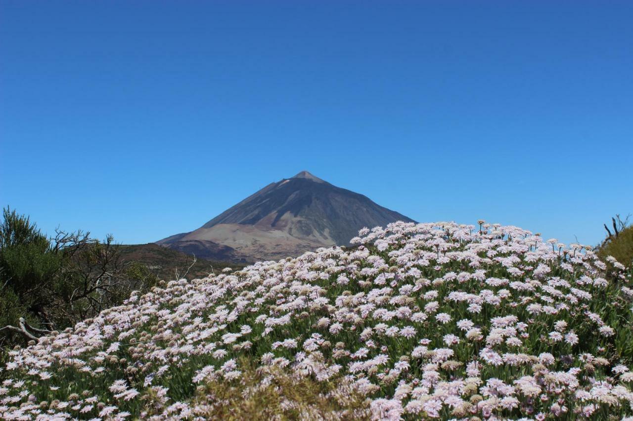 Apt El Perenquen サンタクルスデテネリフェ エクステリア 写真