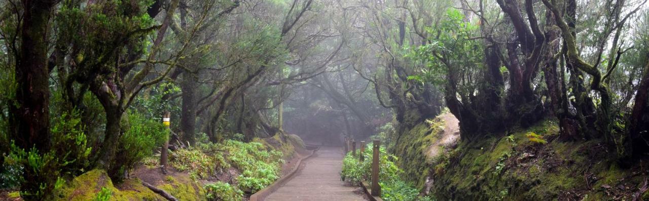 Apt El Perenquen サンタクルスデテネリフェ エクステリア 写真